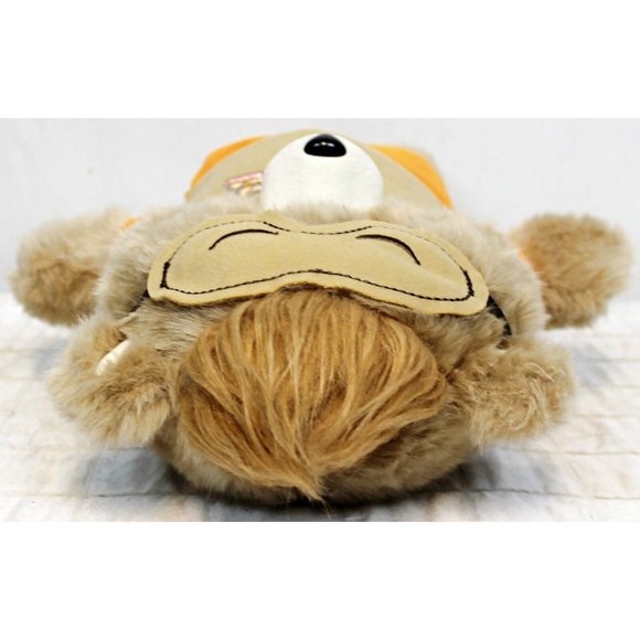 Teddy Ruxpin 2017 Talking Bear Bluetooth Plush Stuffed Animal Wicked Cool Toys - Picture 7 of 16